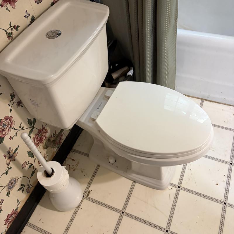 Toilet system with tank and brush in bathroom corner