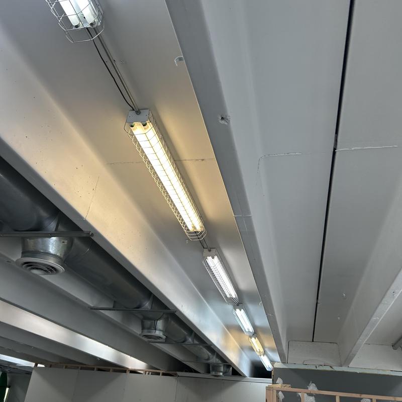 Commercial fluorescent light fixtures on ceiling beams