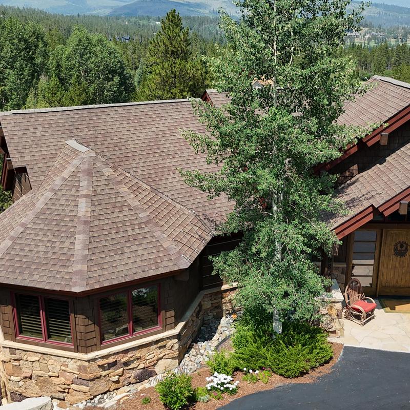 Asphalt shingle roof with gutters and foliage nearby
