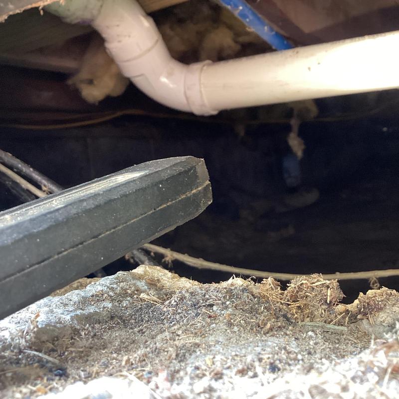 PVC drainage pipes with plumbing connections in crawlspace