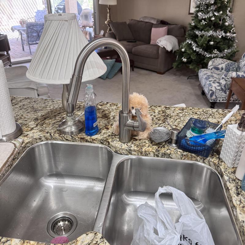 Kitchen faucet and dual stainless steel sink in living room Kitchen faucet and dual stainless steel sink in living room