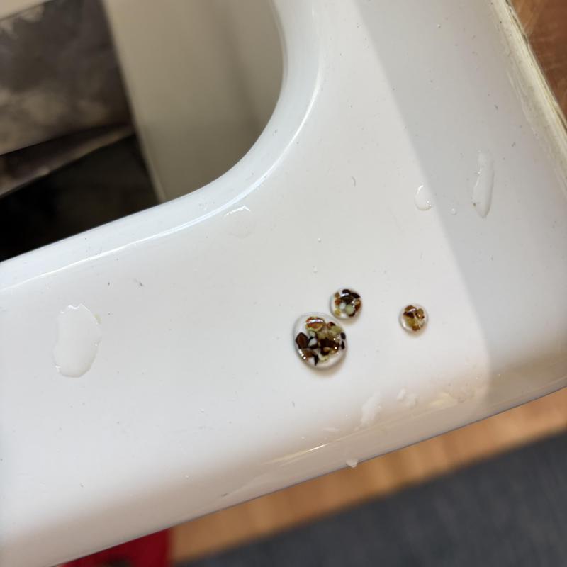 Kitchen faucet aerator with debris buildup droplets Kitchen faucet aerator with debris buildup droplets