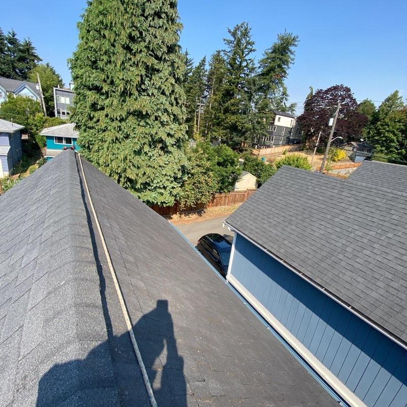 Asphalt shingle roof after professional cleaning