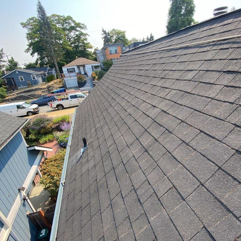 Asphalt shingle roof and gutter cleaning with moss removal