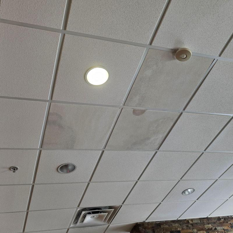 Ceiling tiles with water damage and stains