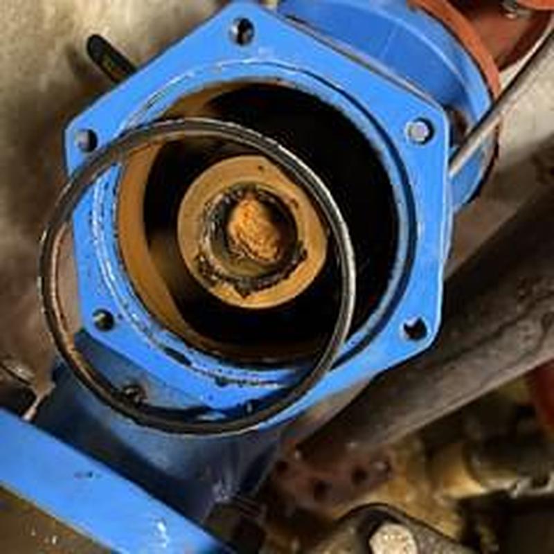 Backflow preventer valve interior with removed gasket seal