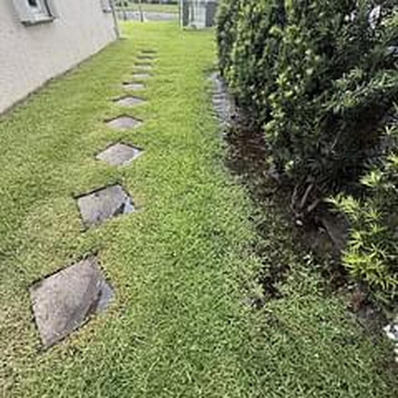 Main water service pipe replacement by house lawn