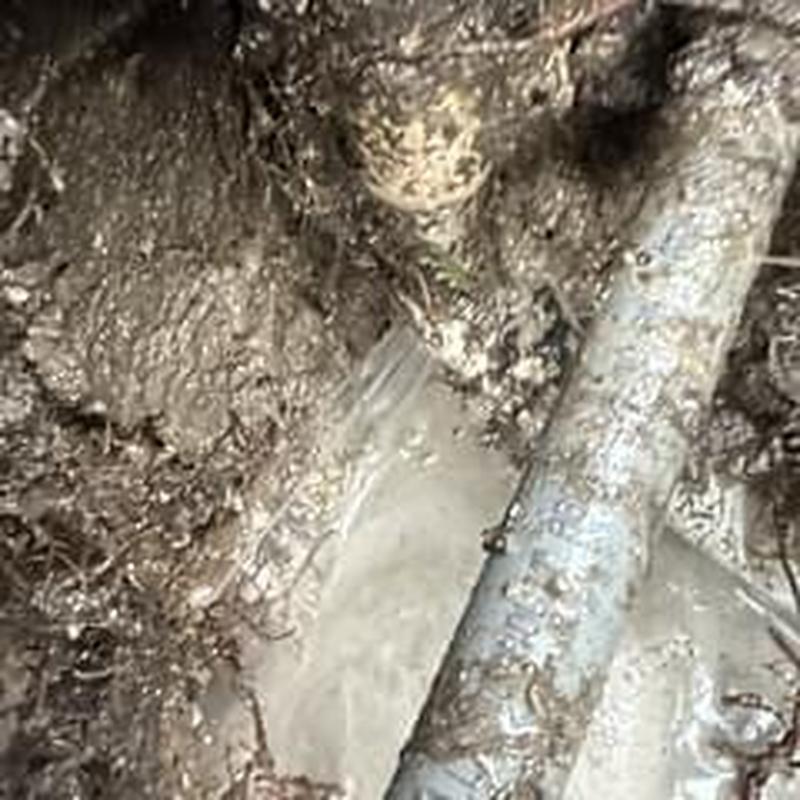 Main water service cracked PVC 90 fitting exposed in soil