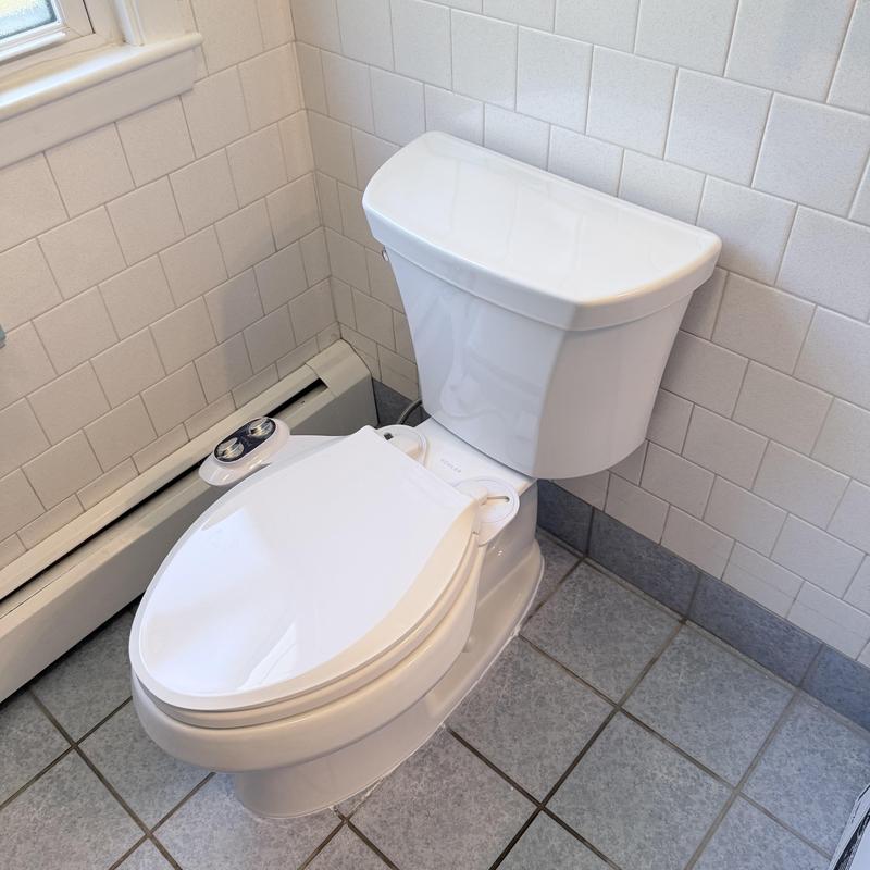 Kohler toilet replacement with flange repair Kohler toilet replacement with flange repair