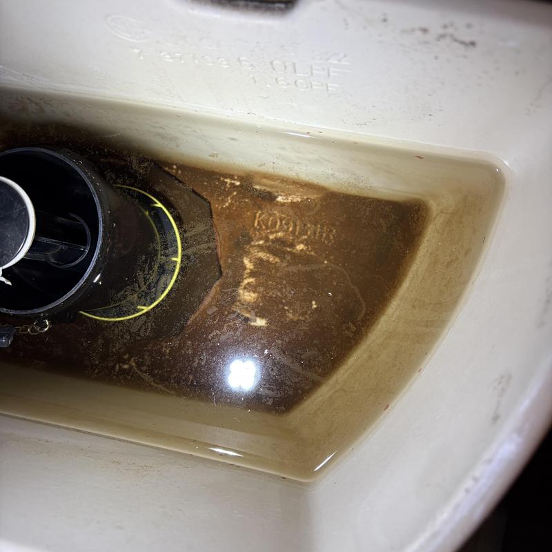 Toilet tank interior with dirty water and fill valve Toilet tank interior with dirty water and fill valve