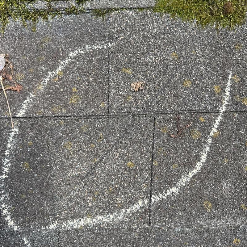 Asphalt shingle roof with hail damage marked in chalk
