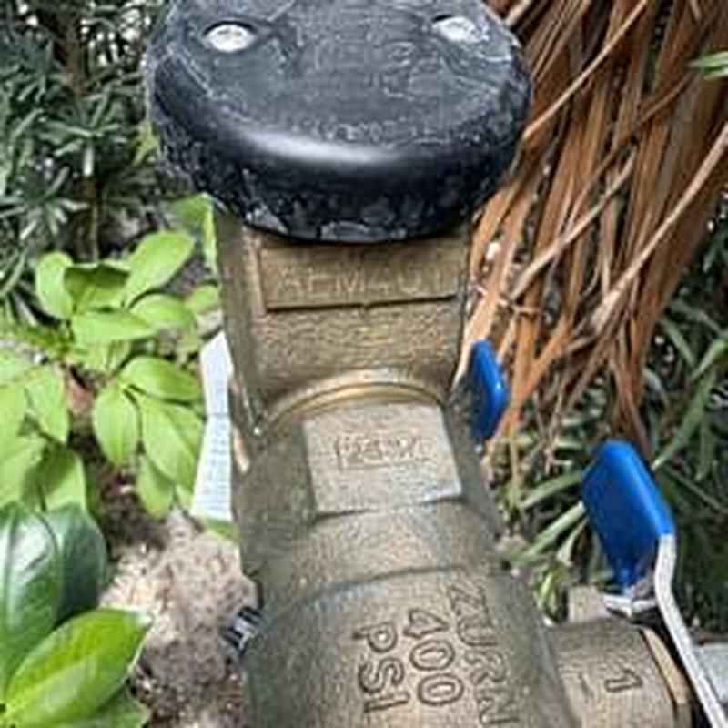 Backflow preventer valve with pressure test gauges