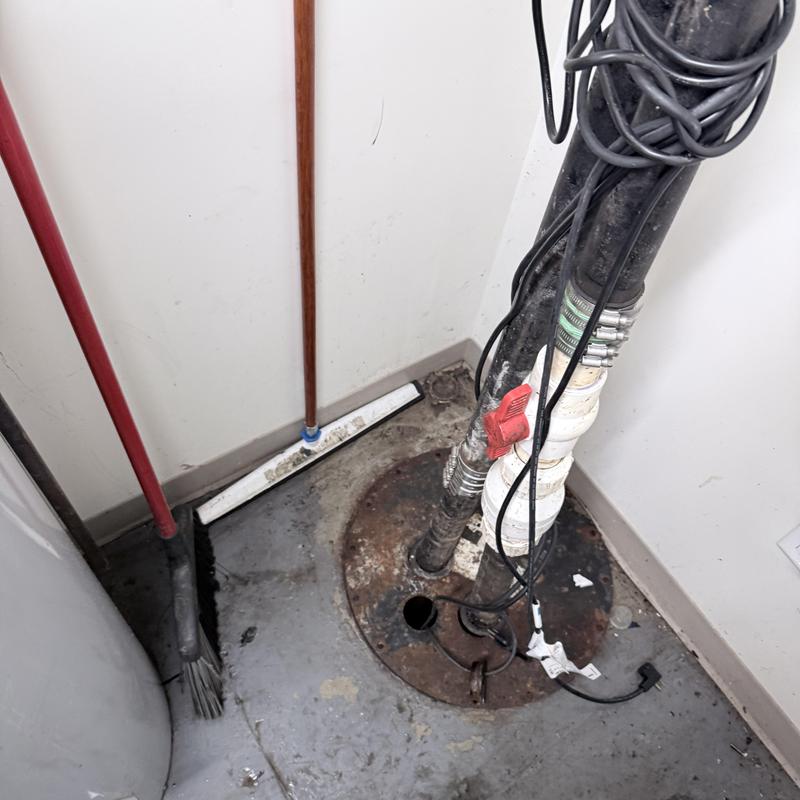 EJ core float sump pump system with wiring EJ core float sump pump system with wiring