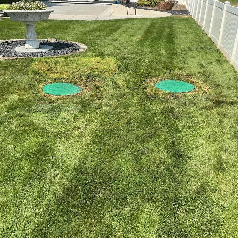 Septic system riser lids installed in green lawn Septic system riser lids installed in green lawn