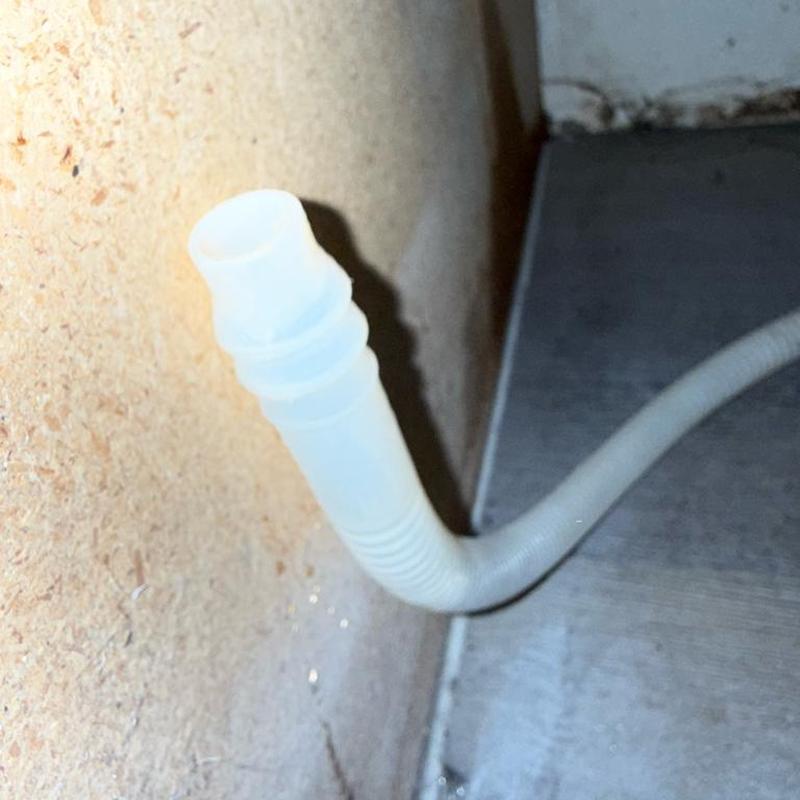 Dishwasher drain hose reconnected with clamp Dishwasher drain hose reconnected with clamp