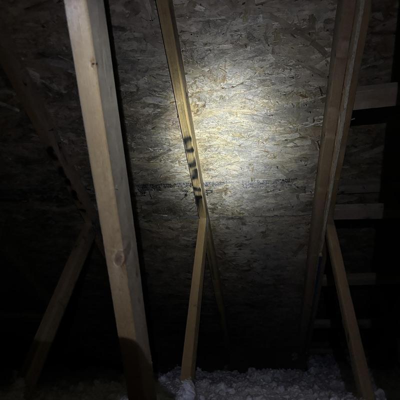Attic roof sheathing with mold from poor ventilation Attic roof sheathing with mold from poor ventilation