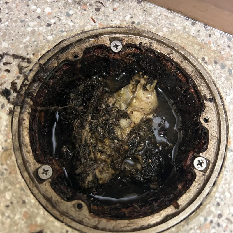 Mainline drain clog with debris in commercial property Mainline drain clog with debris in commercial property