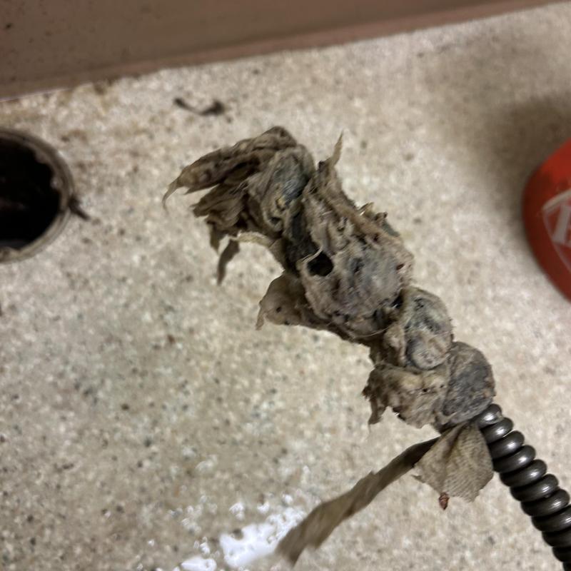Mainline drain clogged with debris during cleaning Mainline drain clogged with debris during cleaning