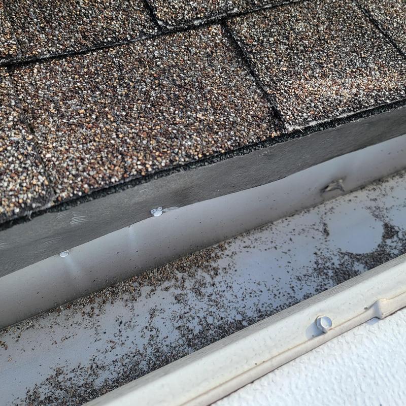Shingle roof edge with gutter debris buildup Shingle roof edge with gutter debris buildup