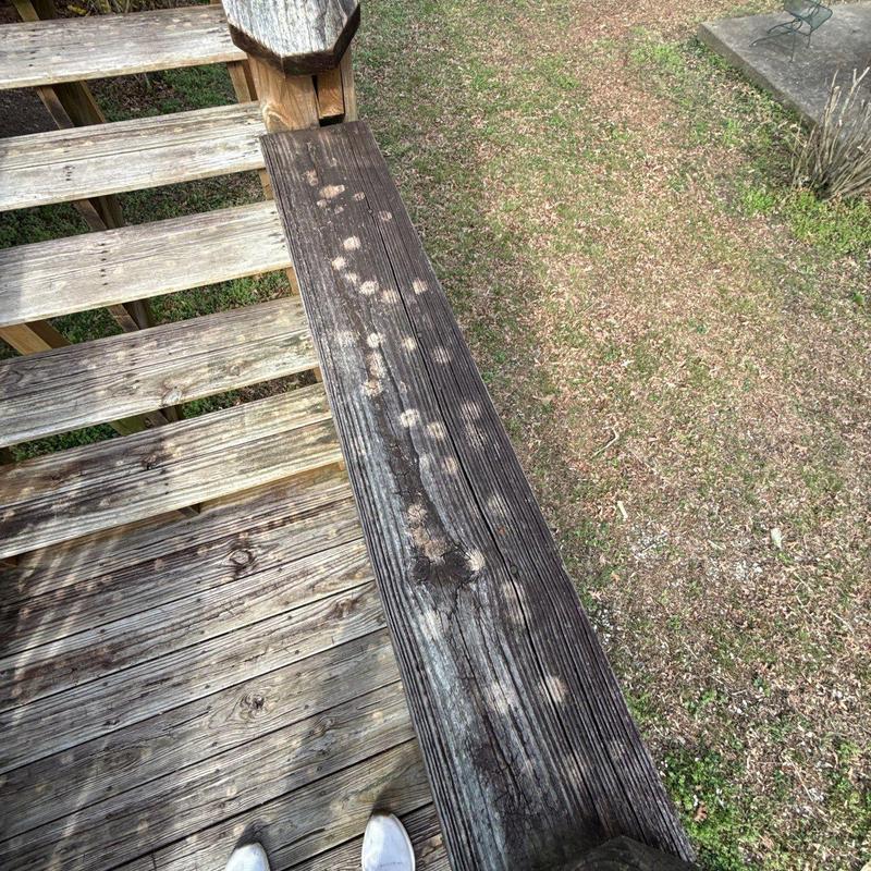 Wooden deck railing with weather damage spots