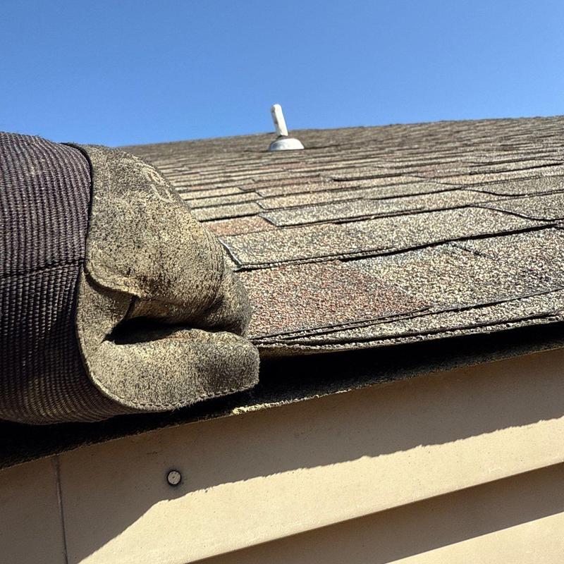 Asphalt shingles lifted for hail damage inspection on roof