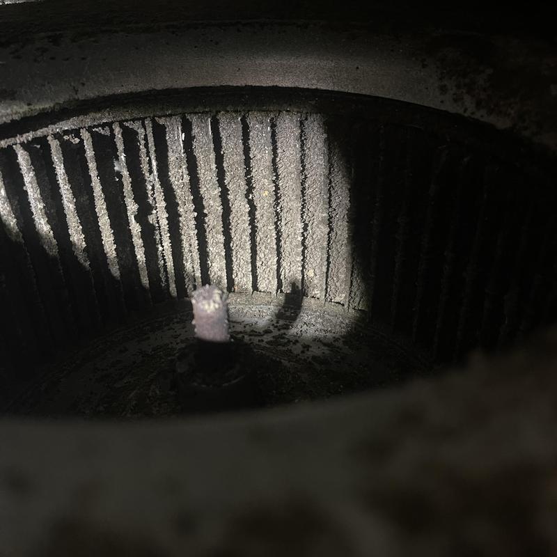Evaporator fan motor blower wheel with dust buildup