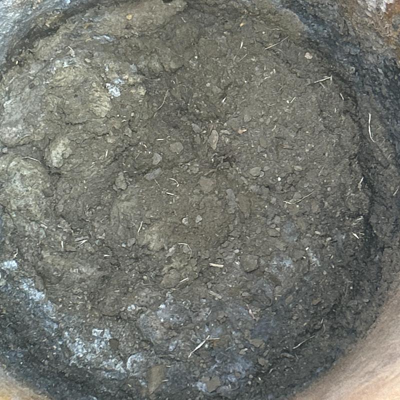 Septic tank interior showing sludge buildup and residue Septic tank interior showing sludge buildup and residue