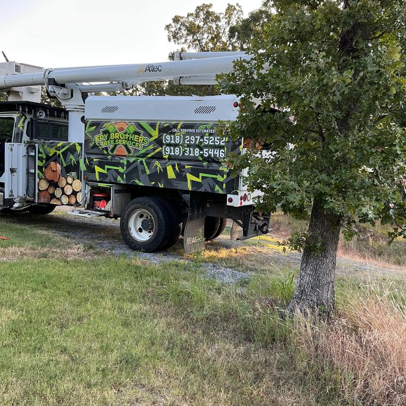 Bucket truck parked by oak tree for removal job Bucket truck parked by oak tree for removal job