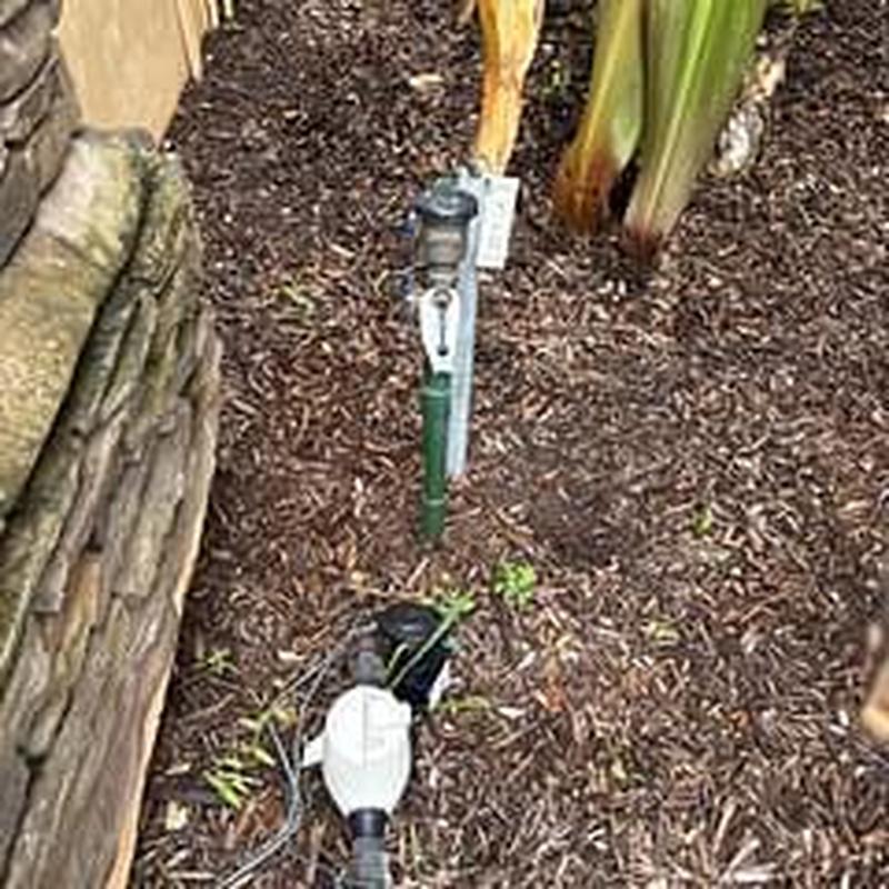 Backflow prevention device with water meter in mulch bed