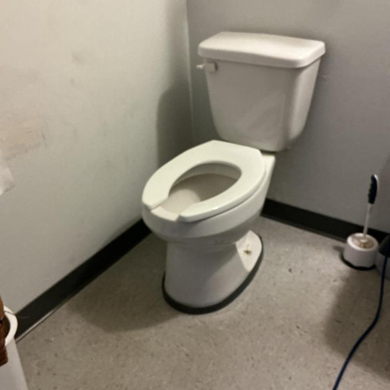 Toilet flange with new wax ring and bolts installation Toilet flange with new wax ring and bolts installation