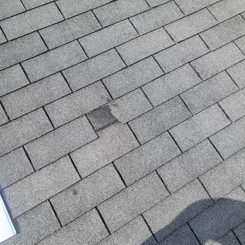 Asphalt roof shingles with damage and wear Asphalt roof shingles with damage and wear
