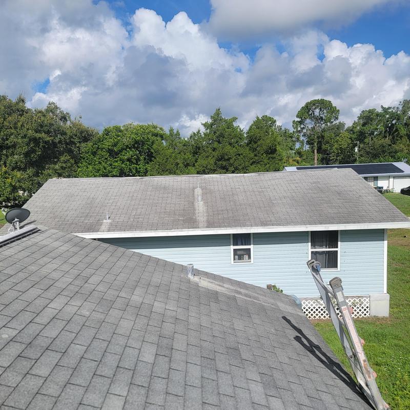 Asphalt shingle roof inspection with ladder in Palm Bay Asphalt shingle roof inspection with ladder in Palm Bay