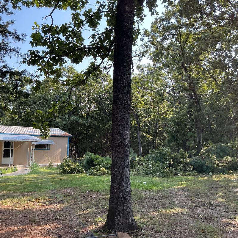 Tree removal near house using rigging and bucket truck Tree removal near house using rigging and bucket truck