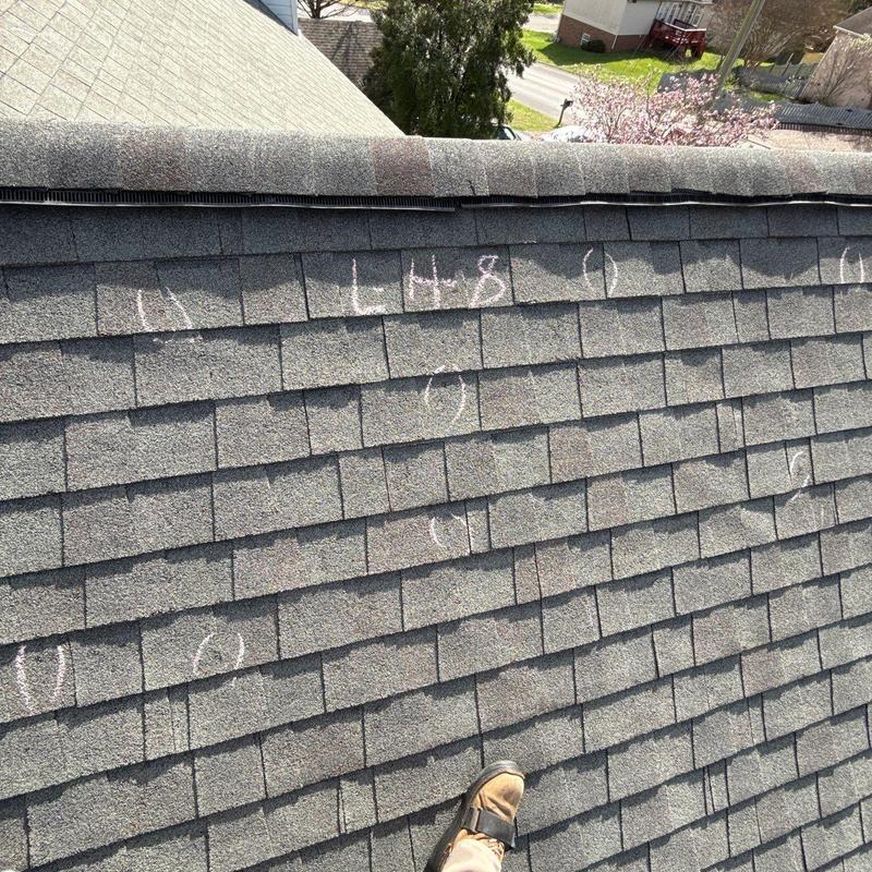 Asphalt shingle roof with hail damage markings