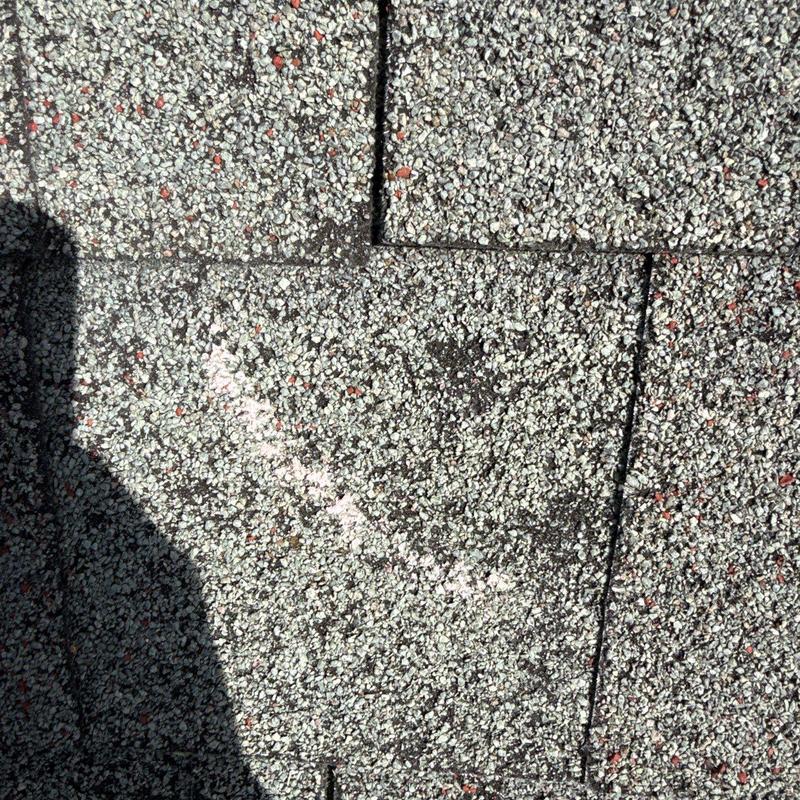 Asphalt shingle roof with hail damage marking