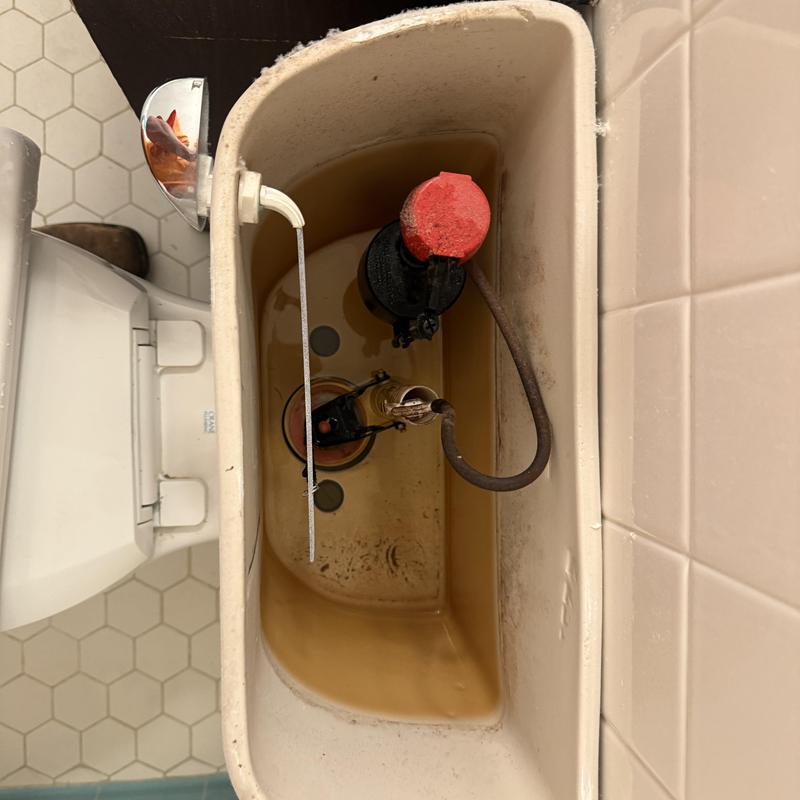 Toilet fill valve and flapper inside tank