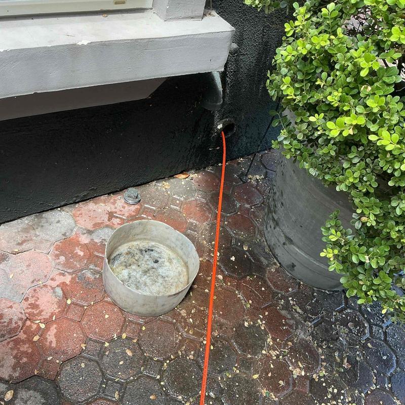 Kitchen branch line descaling via outdoor cleanout pipe