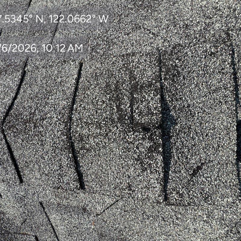 Asphalt shingle roof close-up showing granule wear