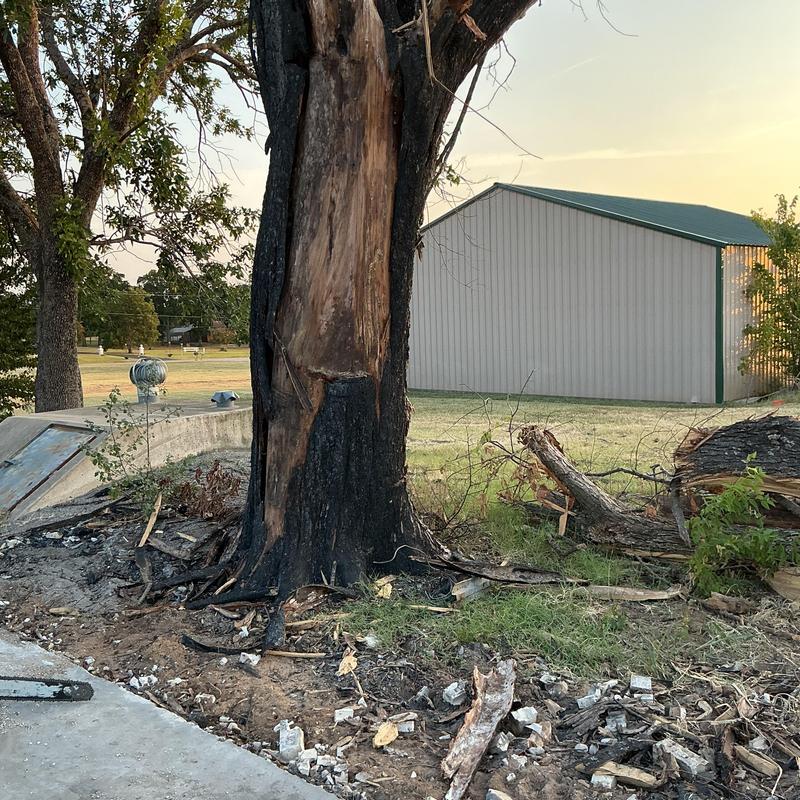 Storm-damaged tree trunk with burnt bark and debris Storm-damaged tree trunk with burnt bark and debris