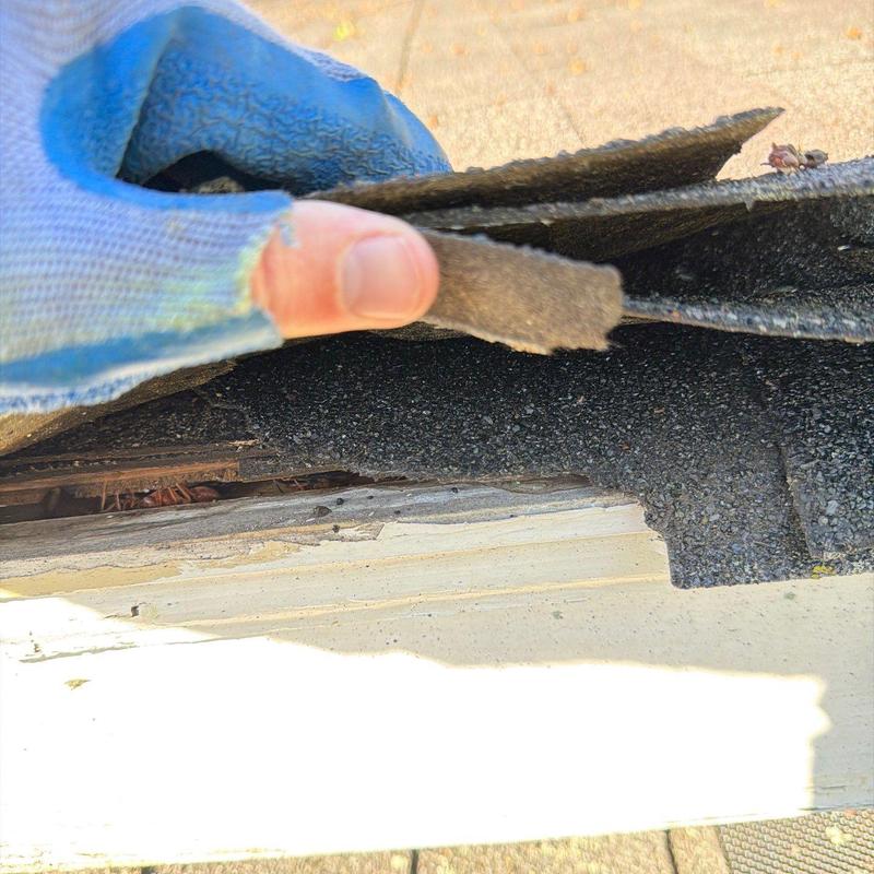 Asphalt shingle roof damaged by hail near edge trim