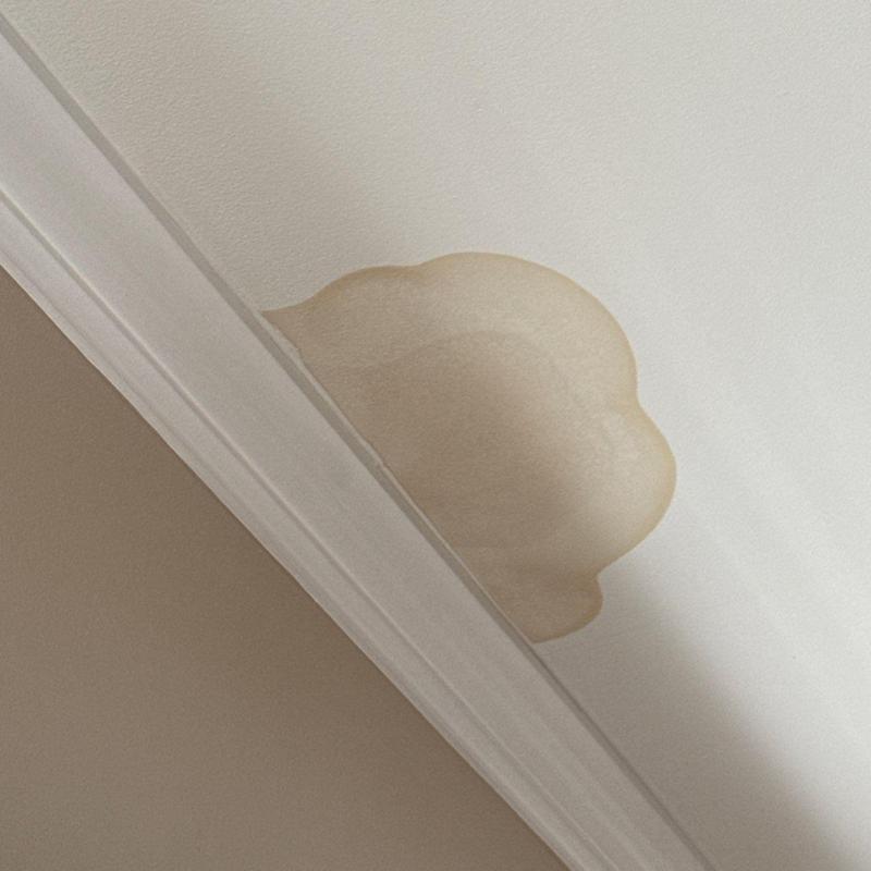 Ceiling drywall water stain near crown molding