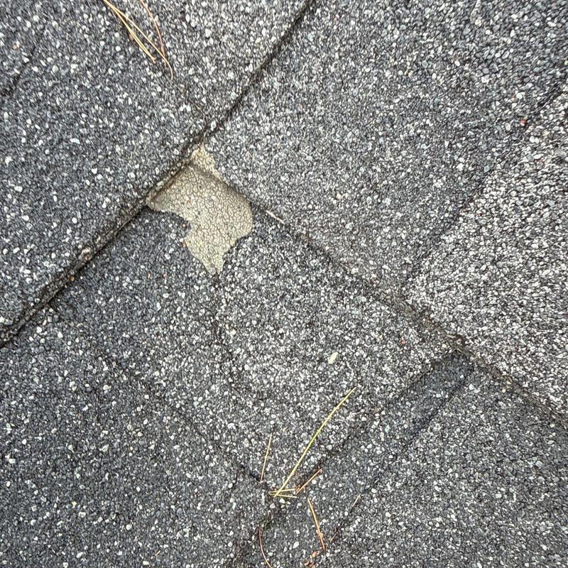 Asphalt shingle roof with hail damage and granule loss