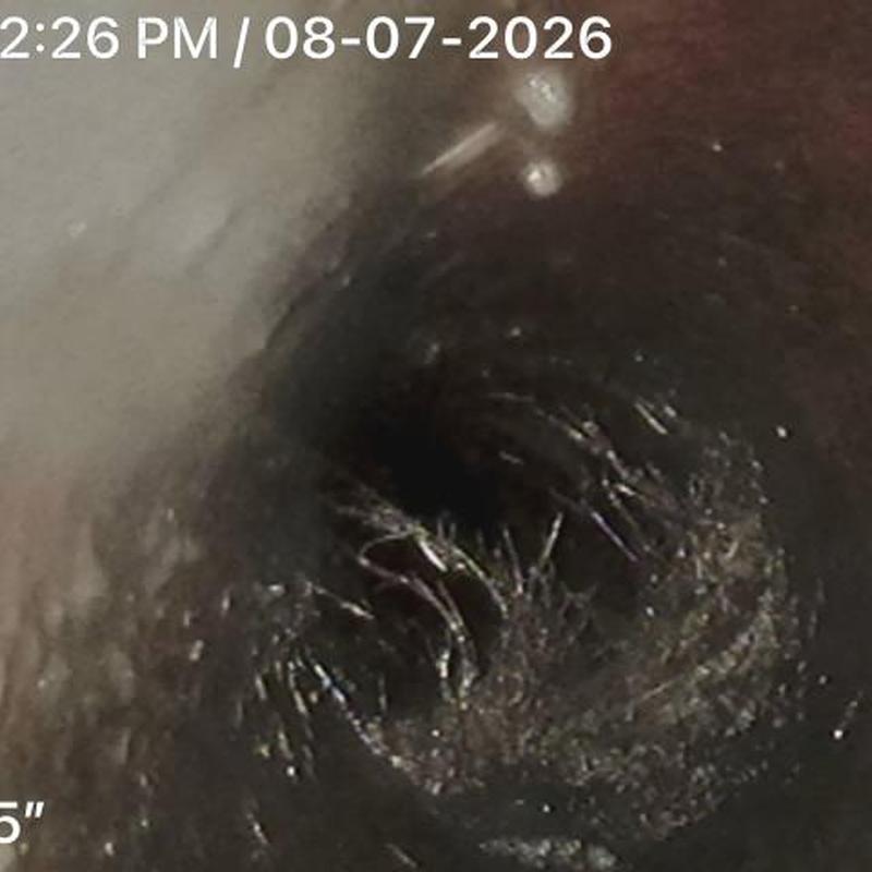 Clay sewer line with root intrusion inside pipe