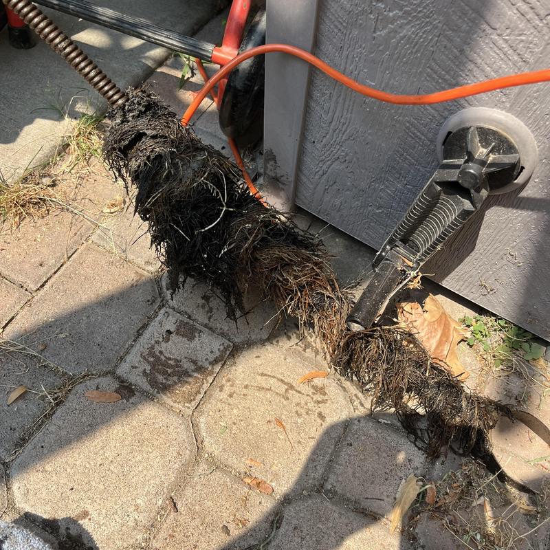 Clay sewer main clogged with root intrusion and cable tool
