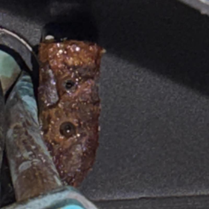 Rusty water pipe coupling with corrosion buildup Rusty water pipe coupling with corrosion buildup
