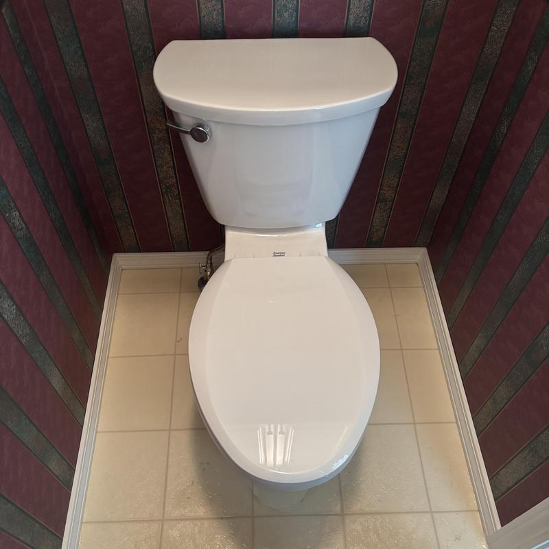 Toilet replacement with new flush handle and seat Toilet replacement with new flush handle and seat