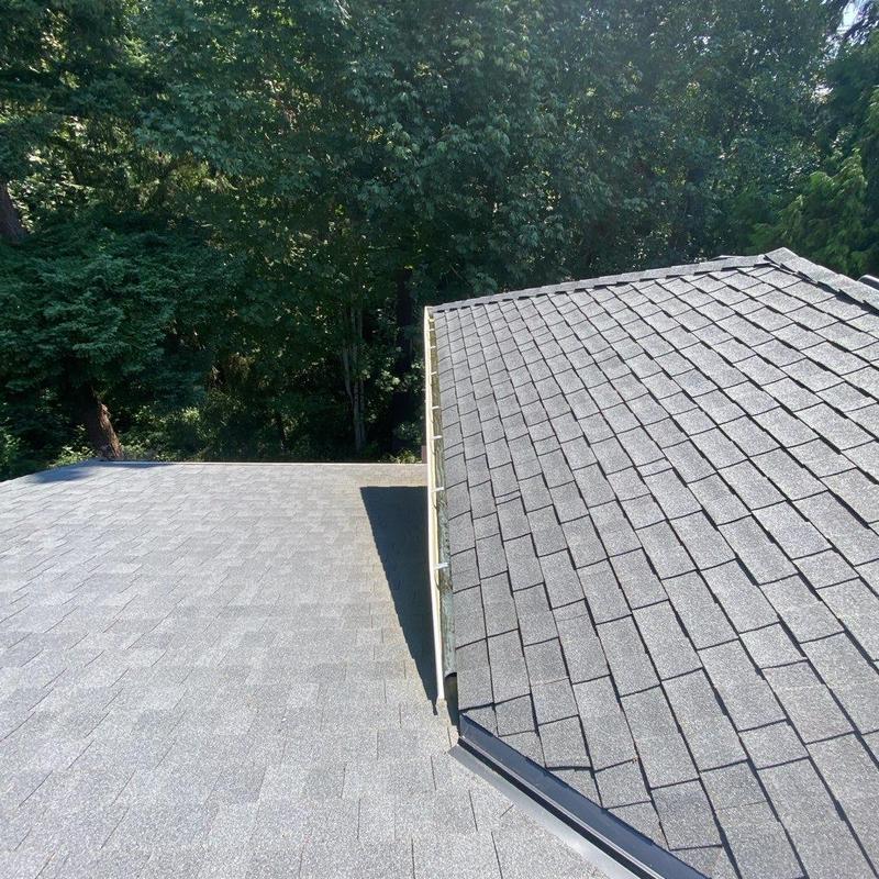 Roof shingles and gutter cleaning on residential roof