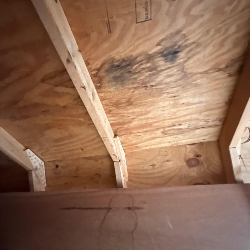 Roof plywood sheathing with visible water damage stain