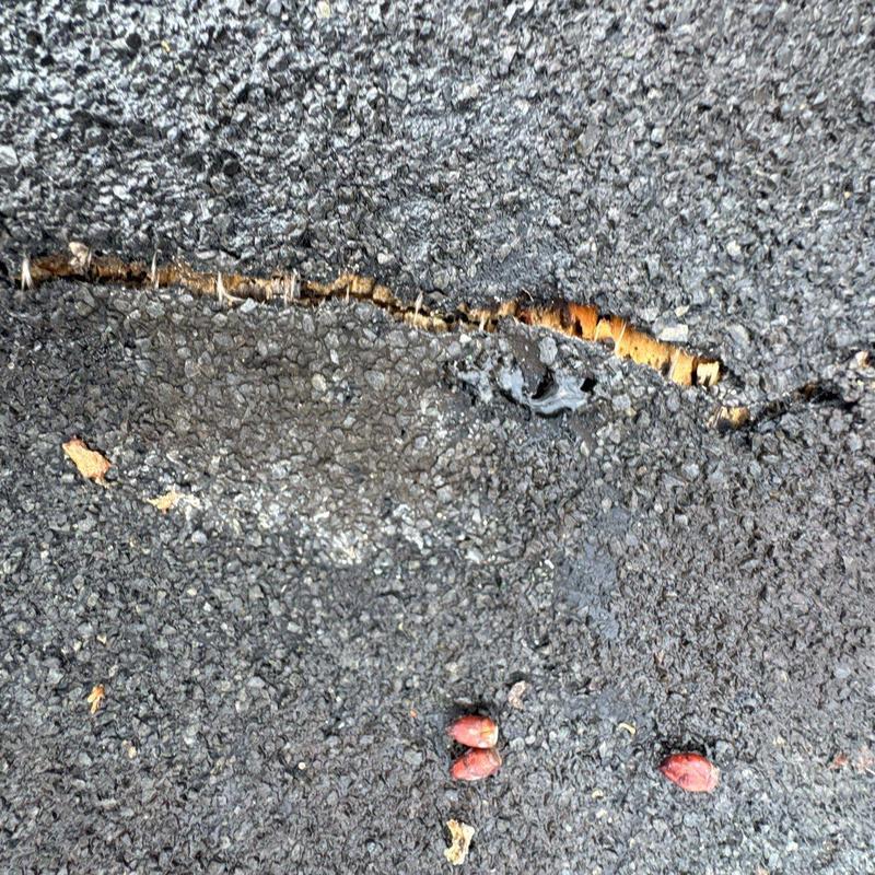 Cracked asphalt driveway surface with exposed underlayer