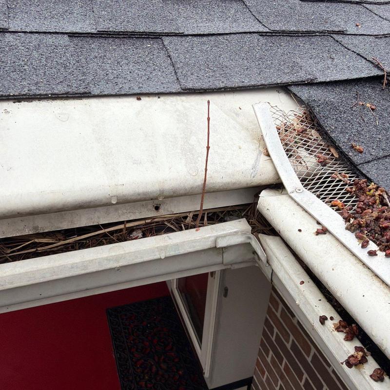 Gutter with debris and damaged roof shingles